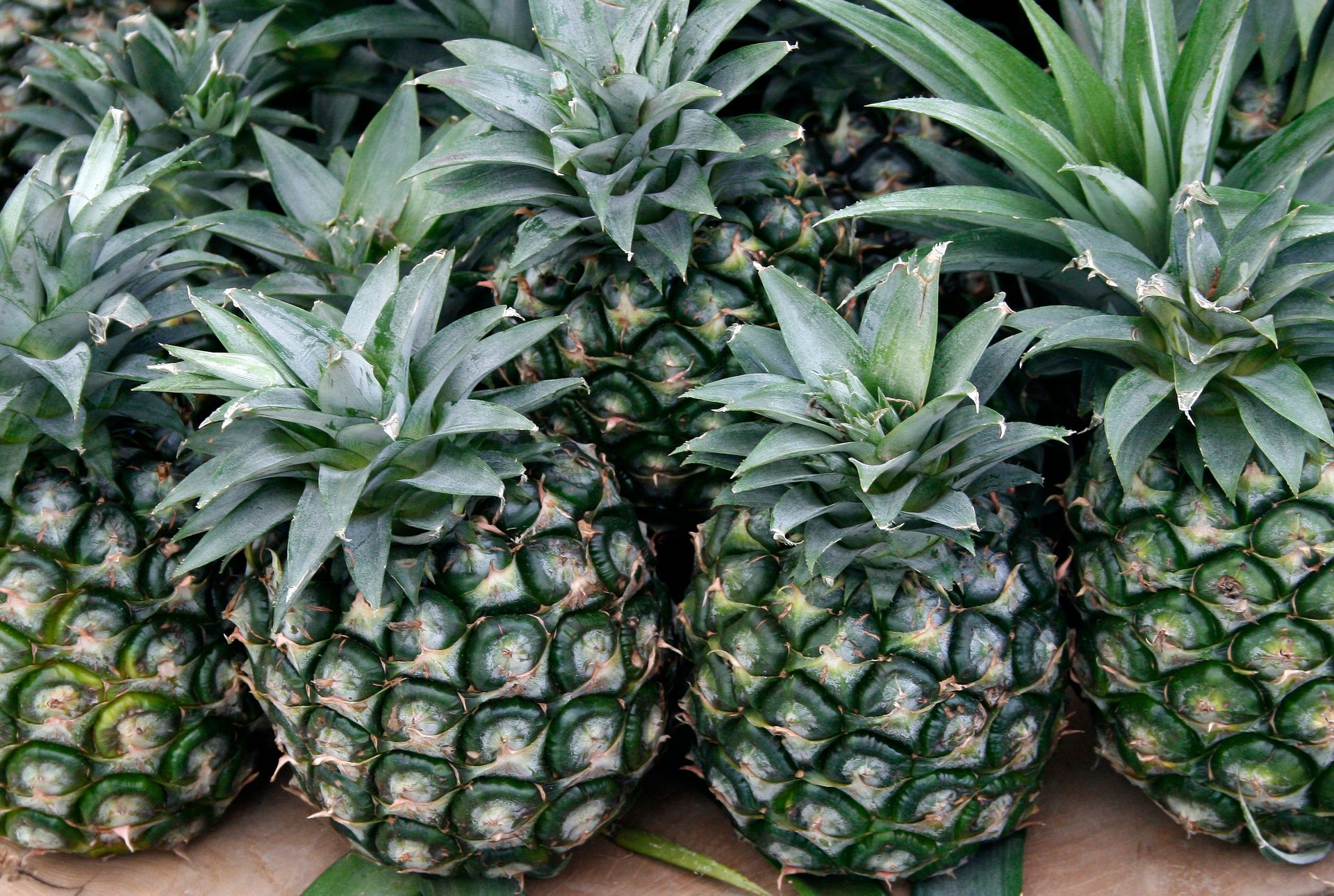 Pineapples